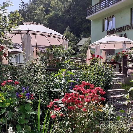 Pensiunea Ana Cavnic Exterior foto